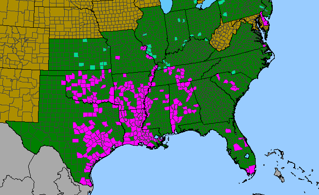 The range of Cardiospermum halicacabum